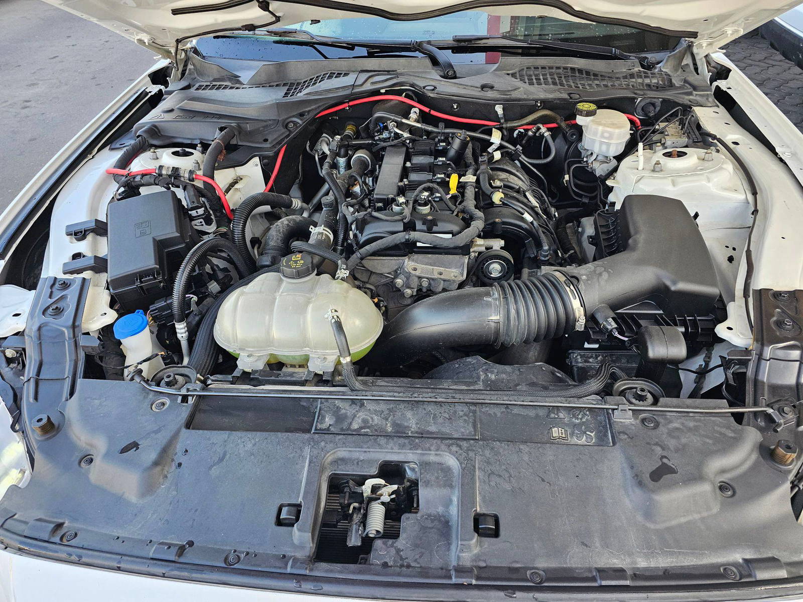 FORD MUSTANG 2023 - Marhaba Auction Used Cars - Image 10