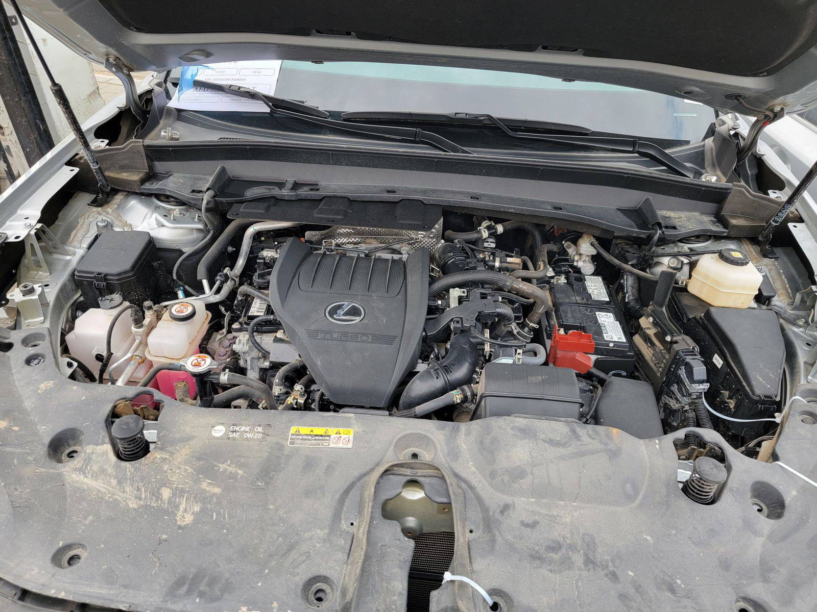 LEXUS TX 350 2024 - Marhaba Auction Used Cars - Image 8