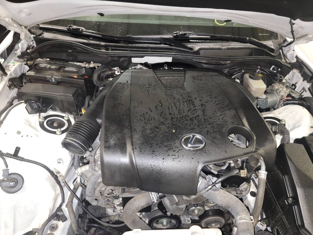 2014 LEXUS IS 250 — 148217 Miles — Lot 5034527 - Marhaba Auctions Used Cars - Image 7