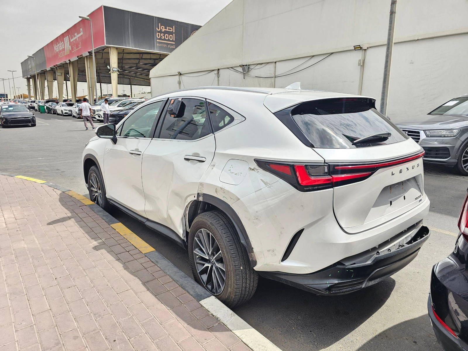 LEXUS NX 350 2022 - Marhaba Auction Used Cars - Image 6