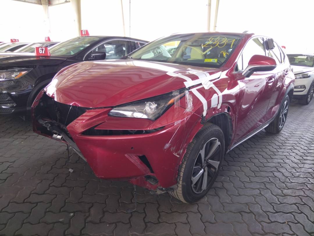 2019 LEXUS NX 300 — 47116 Miles — Lot 212339 - Marhaba Auctions Used Cars - Image 10