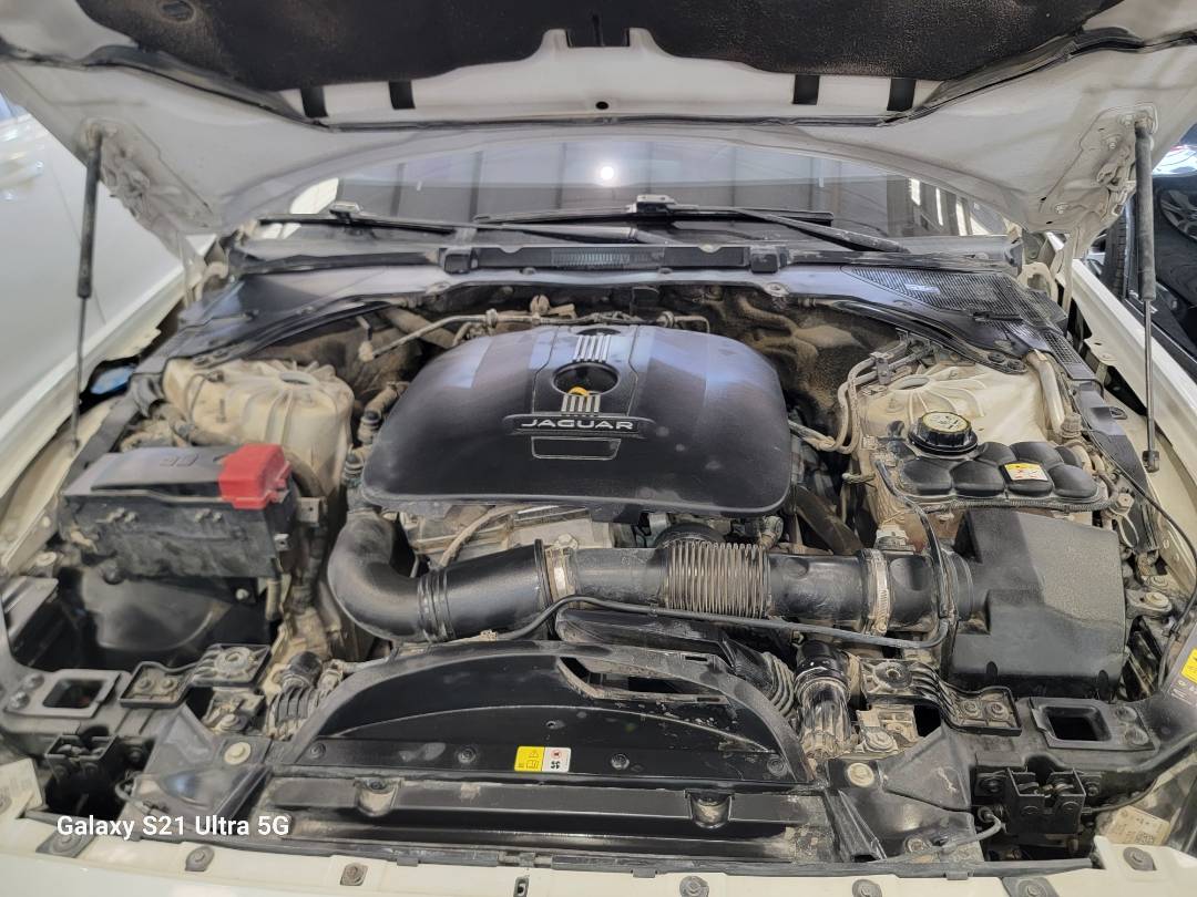 JAGUAR XF 2017 - Marhaba Auction Used Cars - Image 12