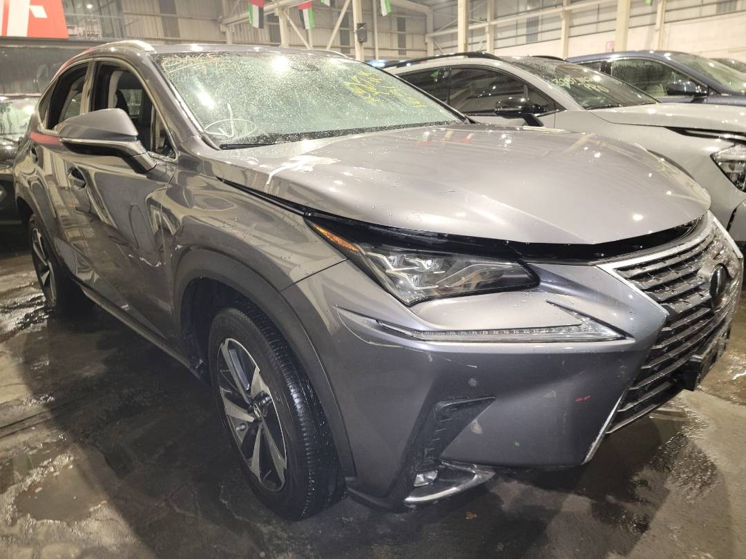 2020 LEXUS NX 300 — 31920 Miles — Lot 165144 - Marhaba Auctions Used Cars - Image 9
