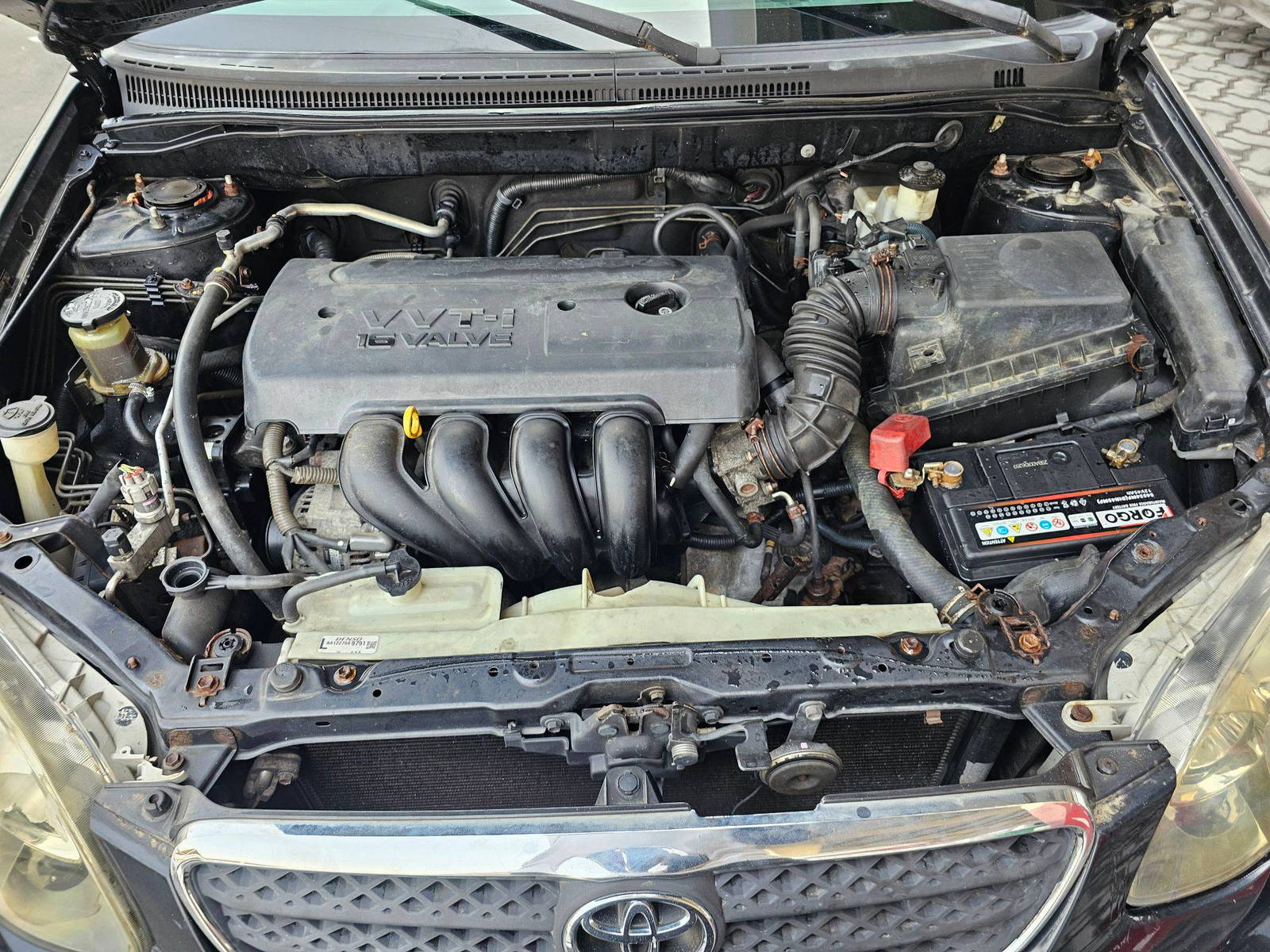 2008 TOYOTA COROLLA — 202839 Miles — Lot C938711 — Souq - Marhaba Auctions Used Cars - Image 10