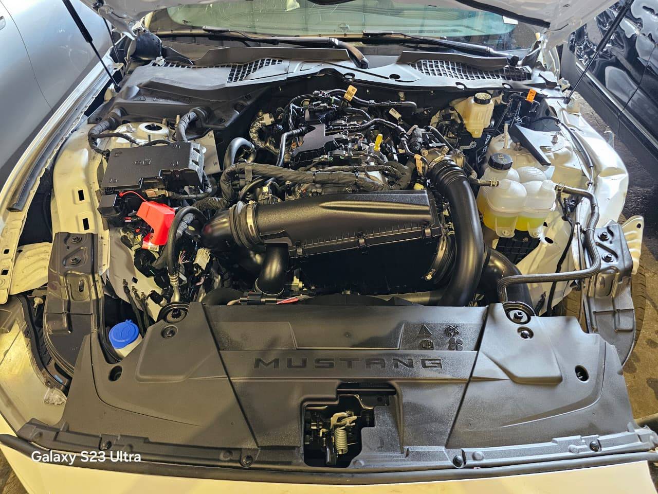 FORD MUSTANG 2025 - Marhaba Auction Used Cars - Image 11