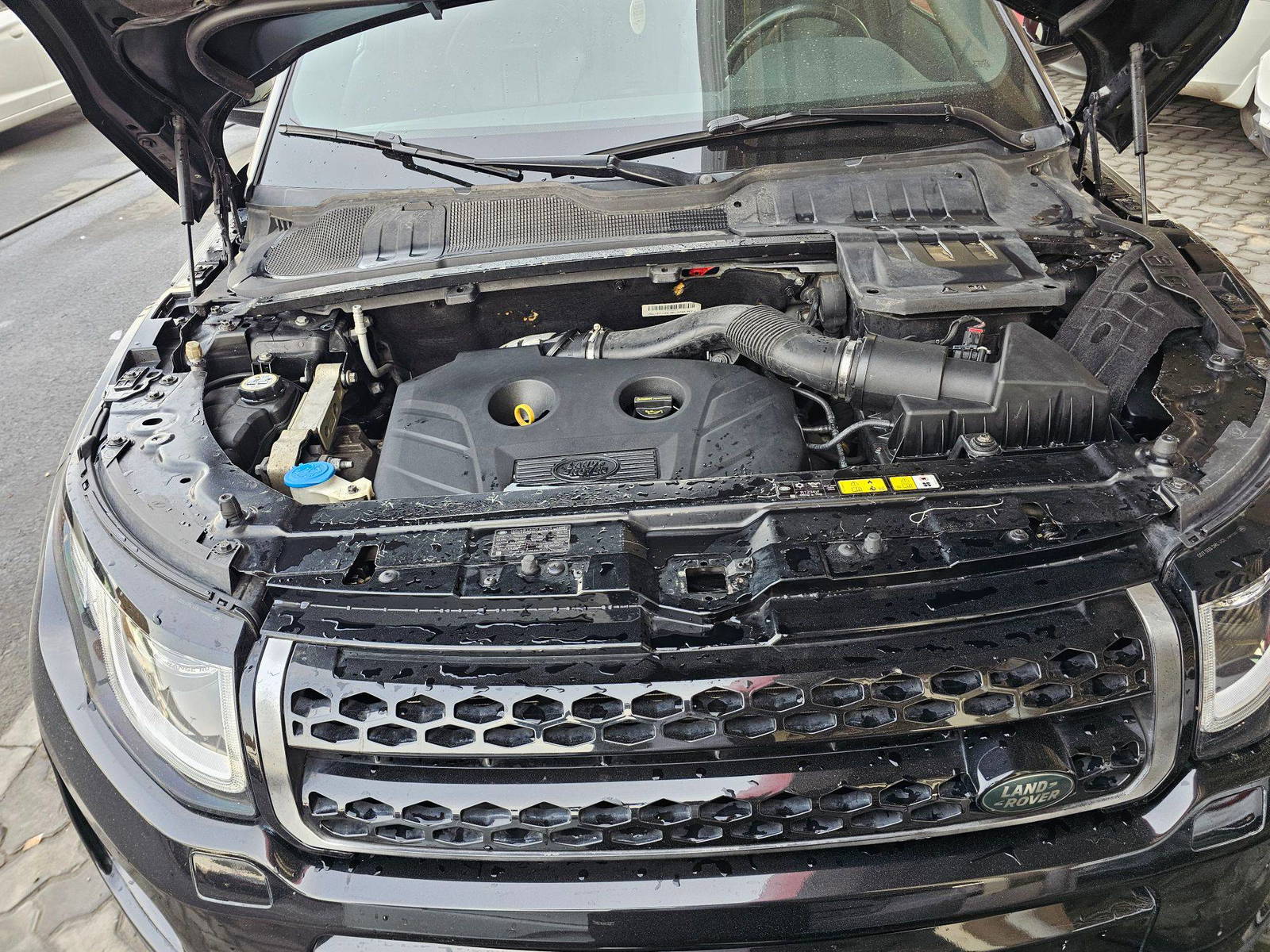 2016 LAND ROVER RANGE ROVER EVOQUE — 109295 Miles — Lot H110784 — Souq - Marhaba Auctions Used Cars - Image 11