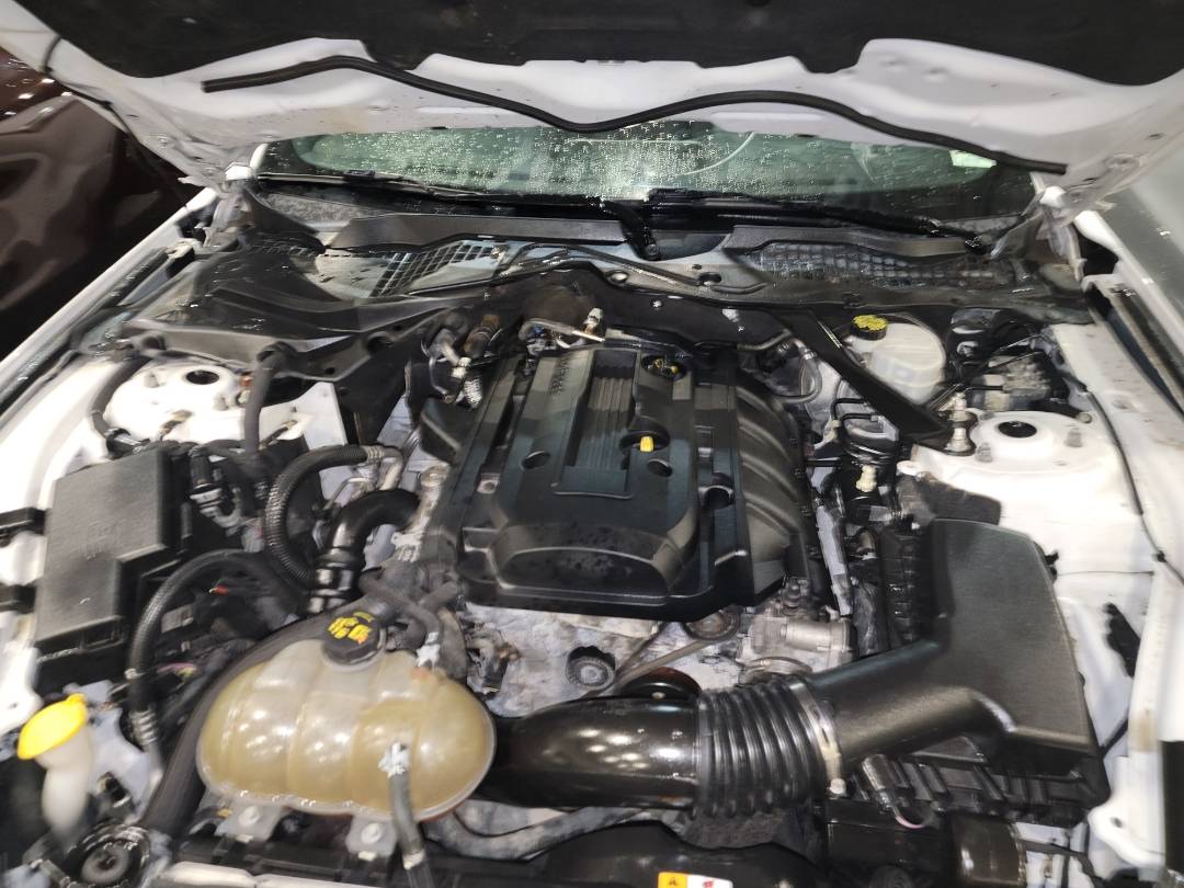 2018 FORD MUSTANG — 80556 Miles — Lot 5129494 - Marhaba Auctions Used Cars - Image 8