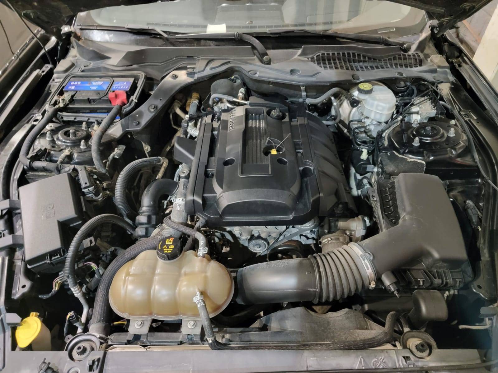 2019 FORD MUSTANG — 81870 Miles — Lot 5130199 — Souq - Marhaba Auctions Used Cars - Image 9