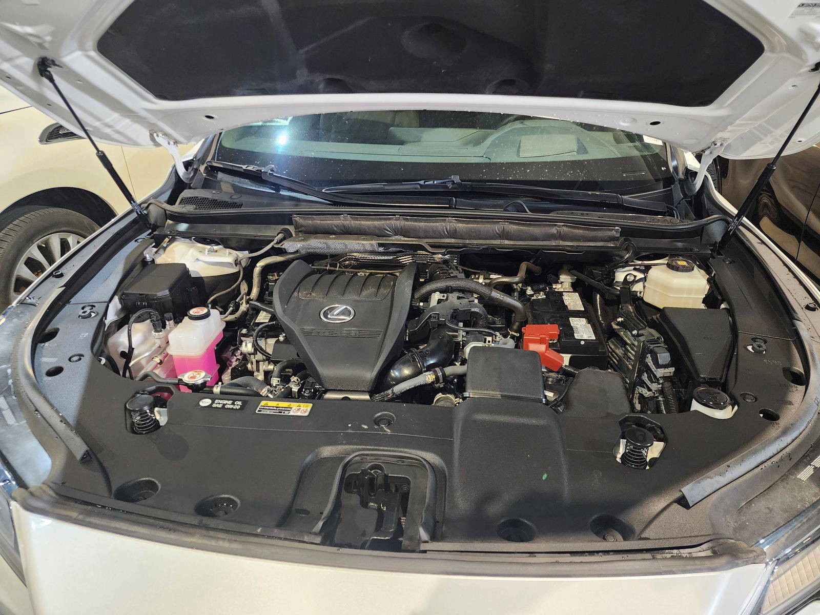 LEXUS RX 350 2024 - Marhaba Auction Used Cars - Image 4