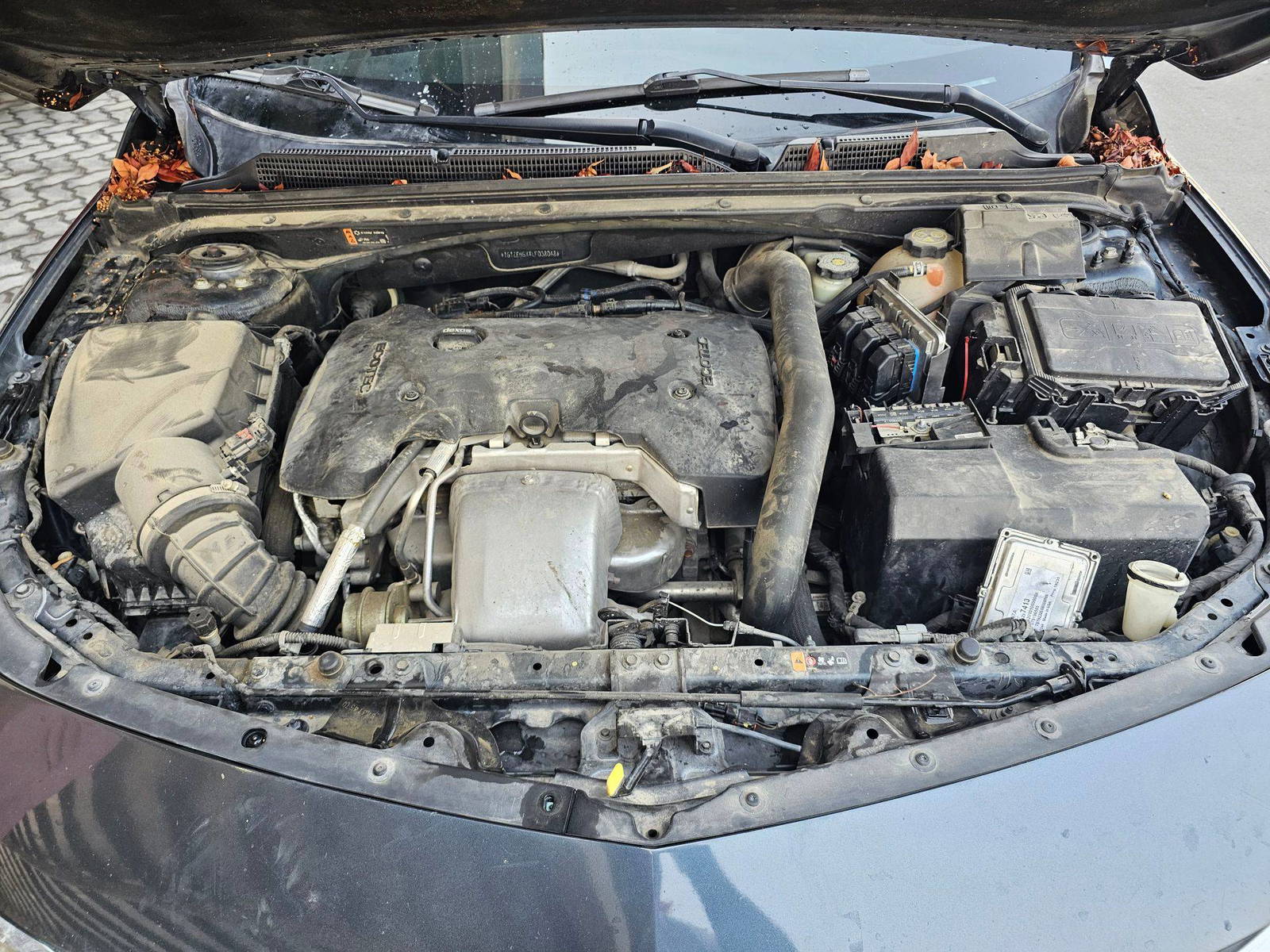 2020 CHEVROLET MALIBU — 147924 Miles — Lot 038048 — Souq - Marhaba Auctions Used Cars - Image 12