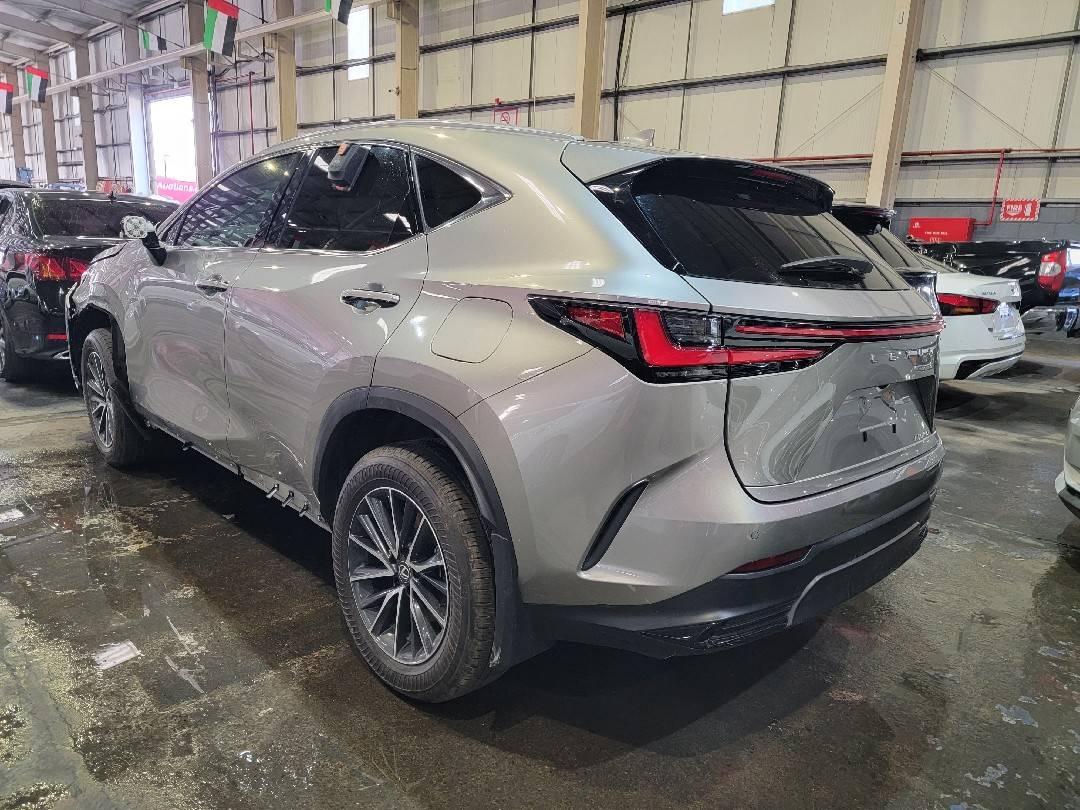 LEXUS NX 250