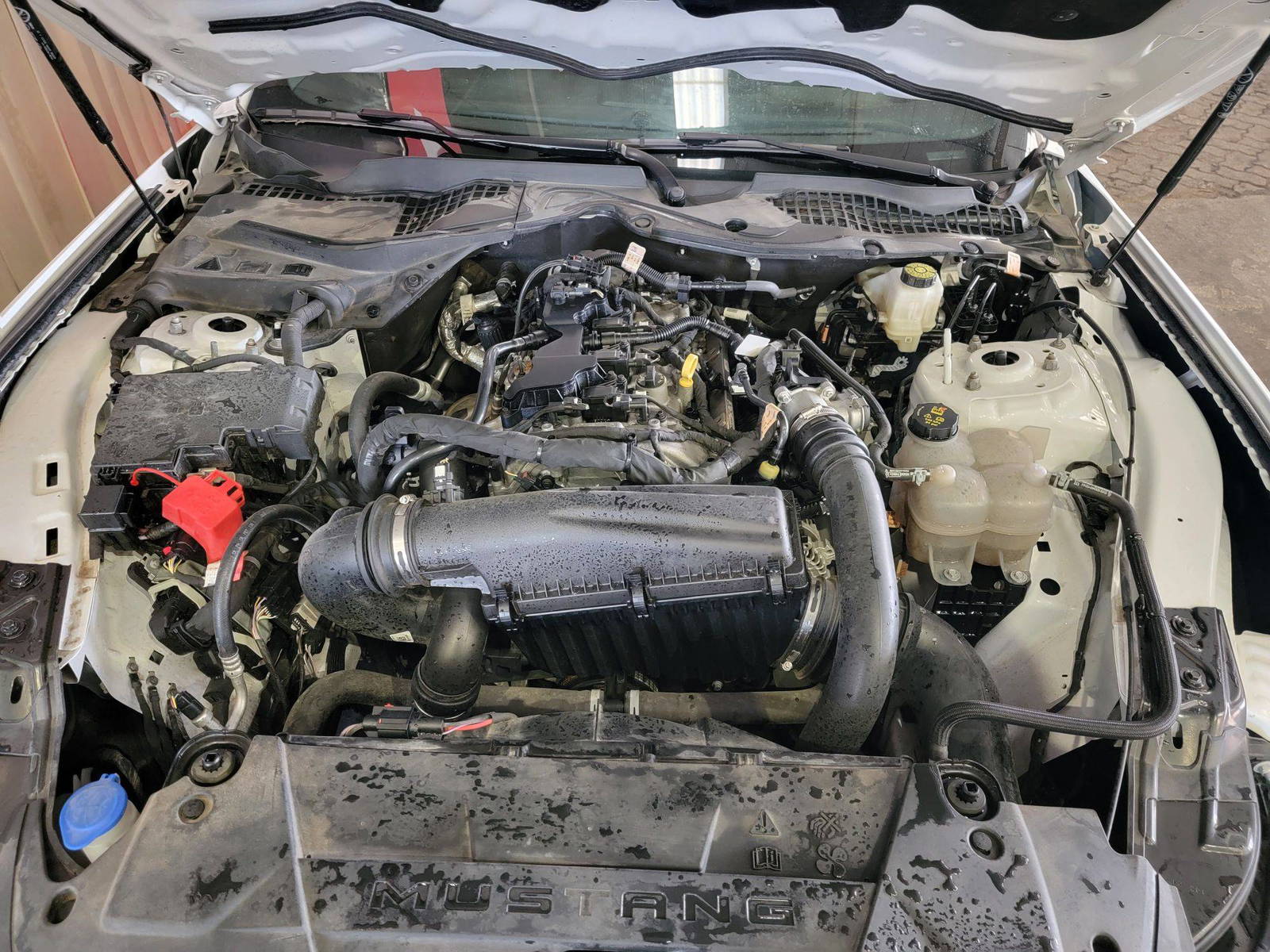 FORD MUSTANG 2024 - Marhaba Auction Used Cars - Image 10