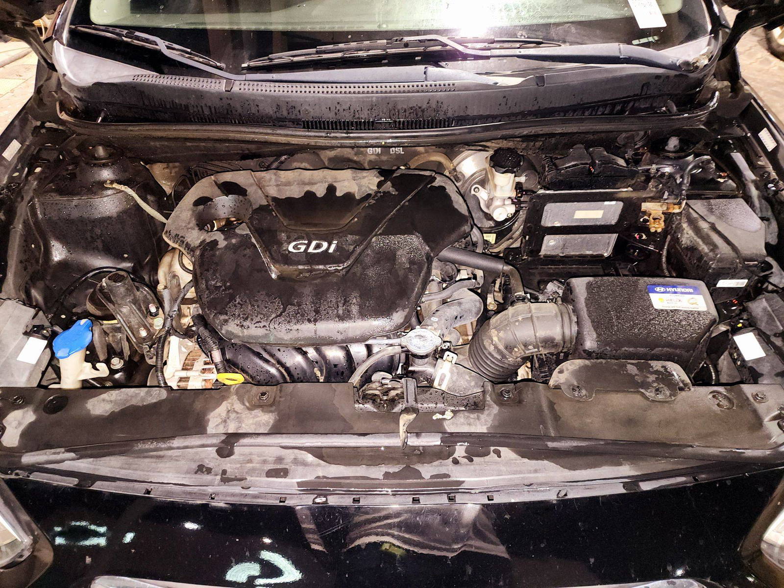 2017 HYUNDAI ACCENT — 95997 Miles — Lot 1296644 — Souq - Marhaba Auctions Used Cars - Image 10