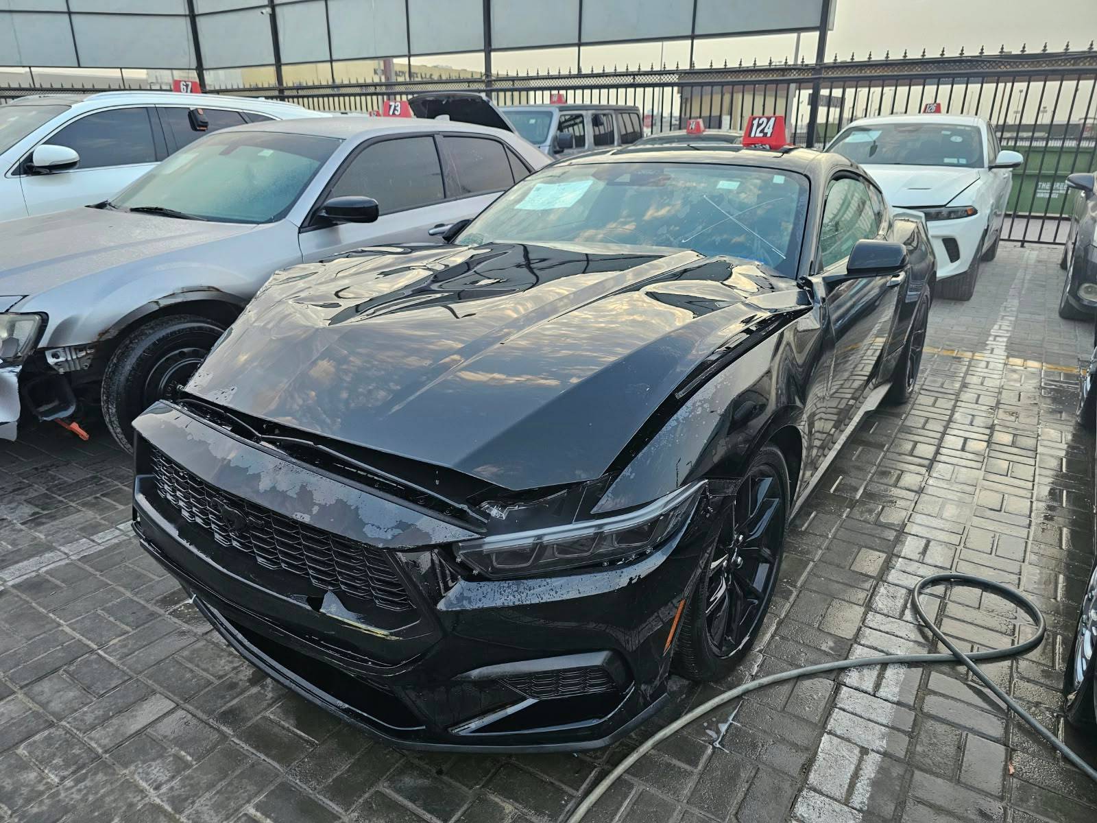 2025 FORD MUSTANG — 15266 Miles — Lot 5101850 - Marhaba Auctions Used Cars - Image 5