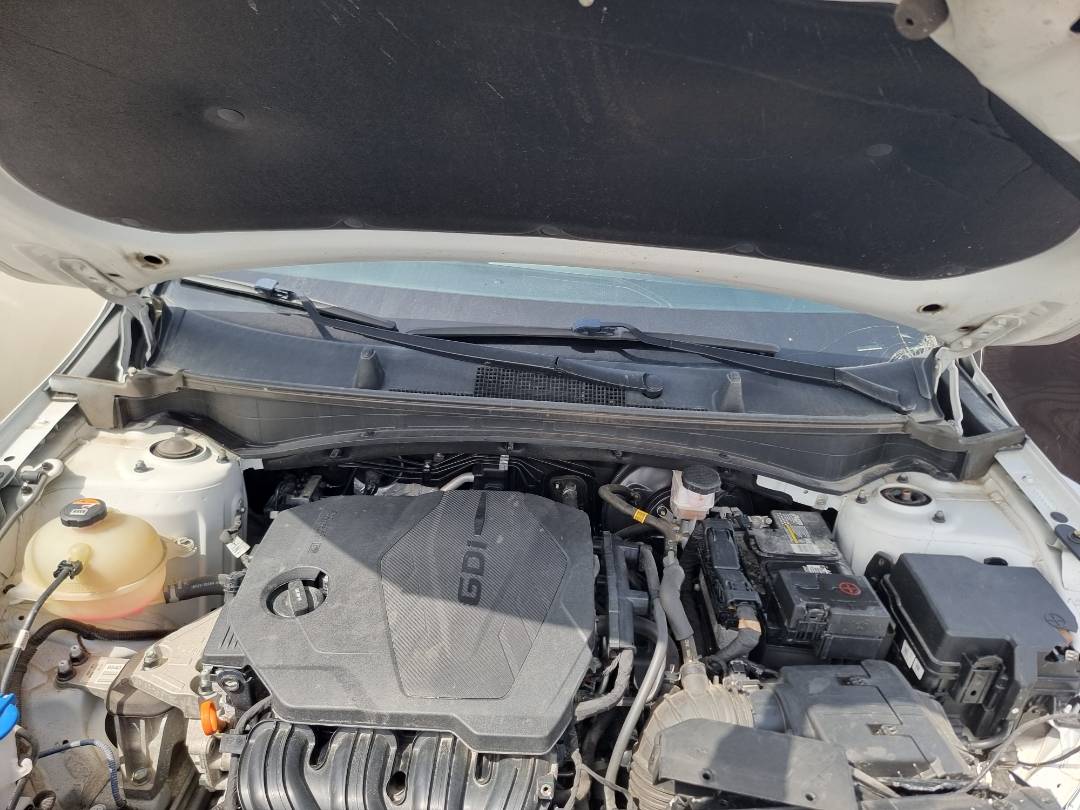 KIA SPORTAGE 2023 - Marhaba Auction Used Cars - Image 8