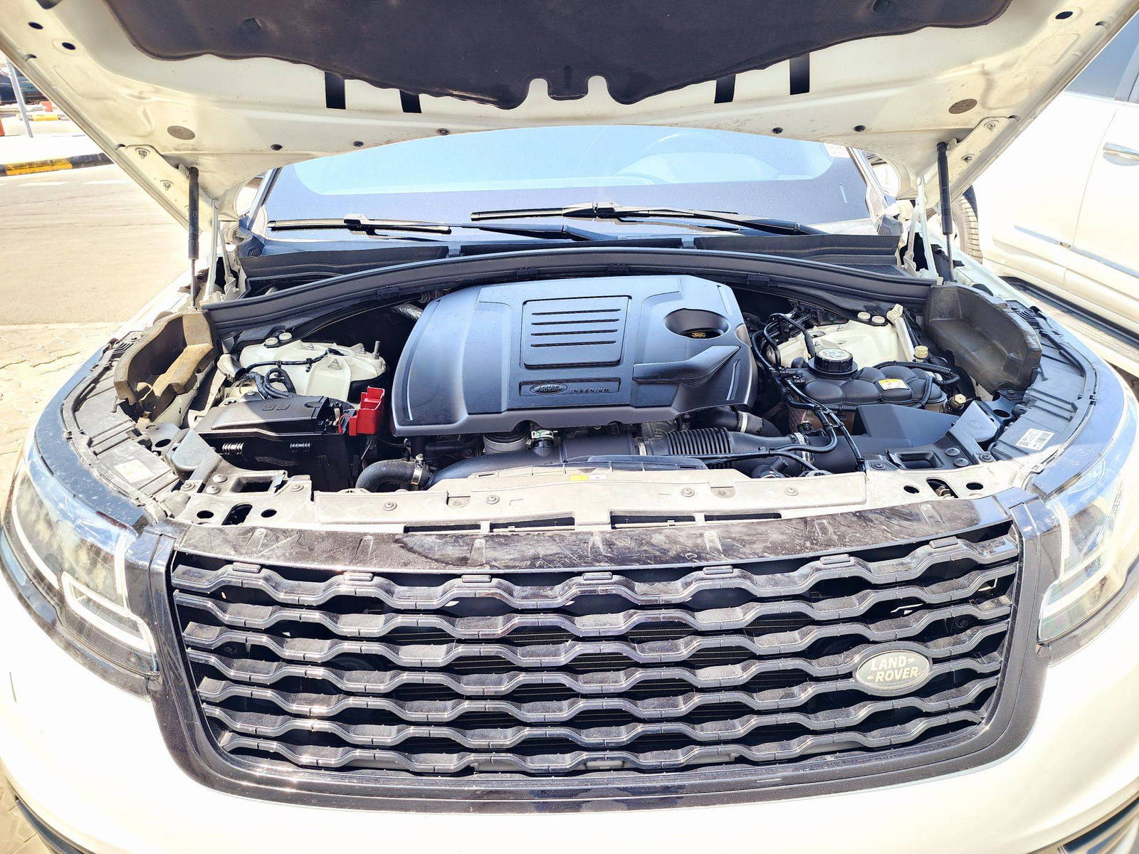 LAND ROVER RANGE ROVER DYNAMIC SE 2019 - Marhaba Auction Used Cars - Image 12