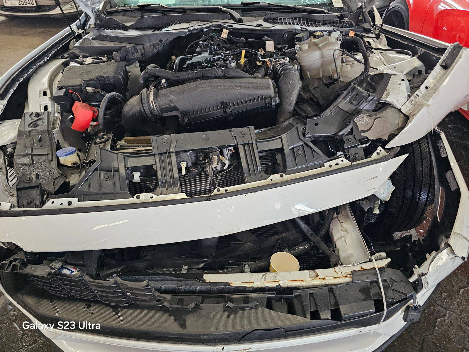 FORD MUSTANG 2024 - Marhaba Auction Used Cars - Image 10