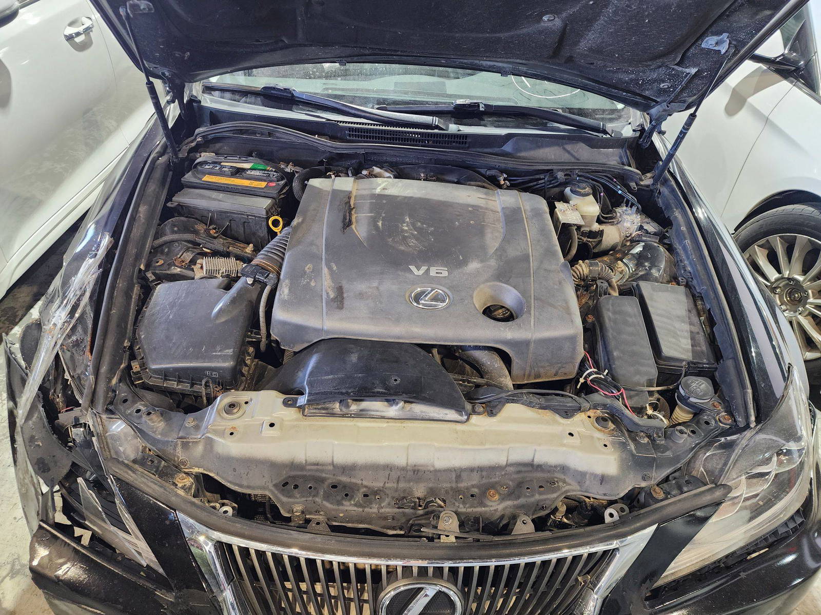 LEXUS IS 250 2009 - Marhaba Auction Used Cars - Image 13