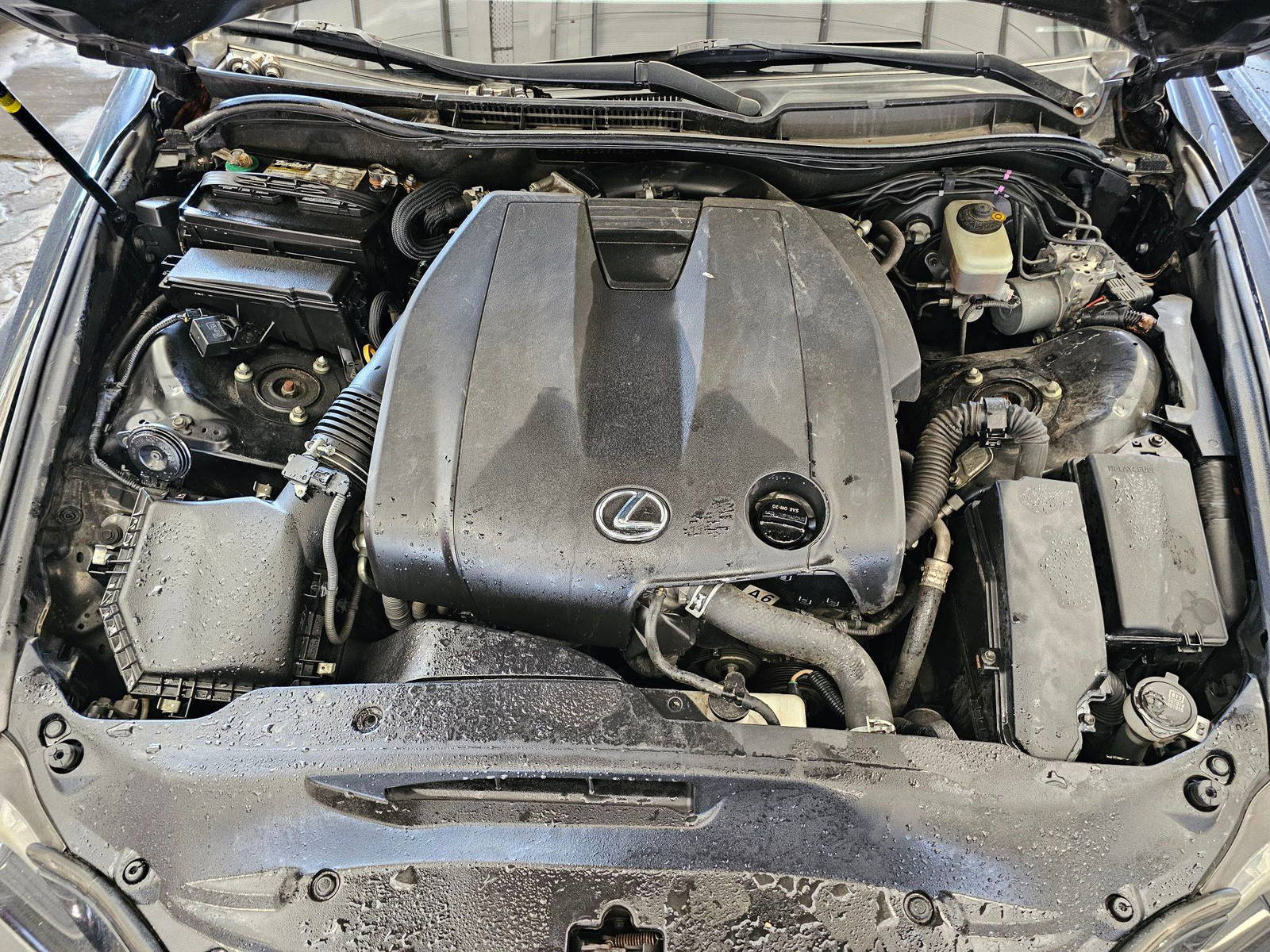 2014 LEXUS IS 250 — 230536 Miles — Lot 26E5034087 — Main - Marhaba Auctions Used Cars - Image 11