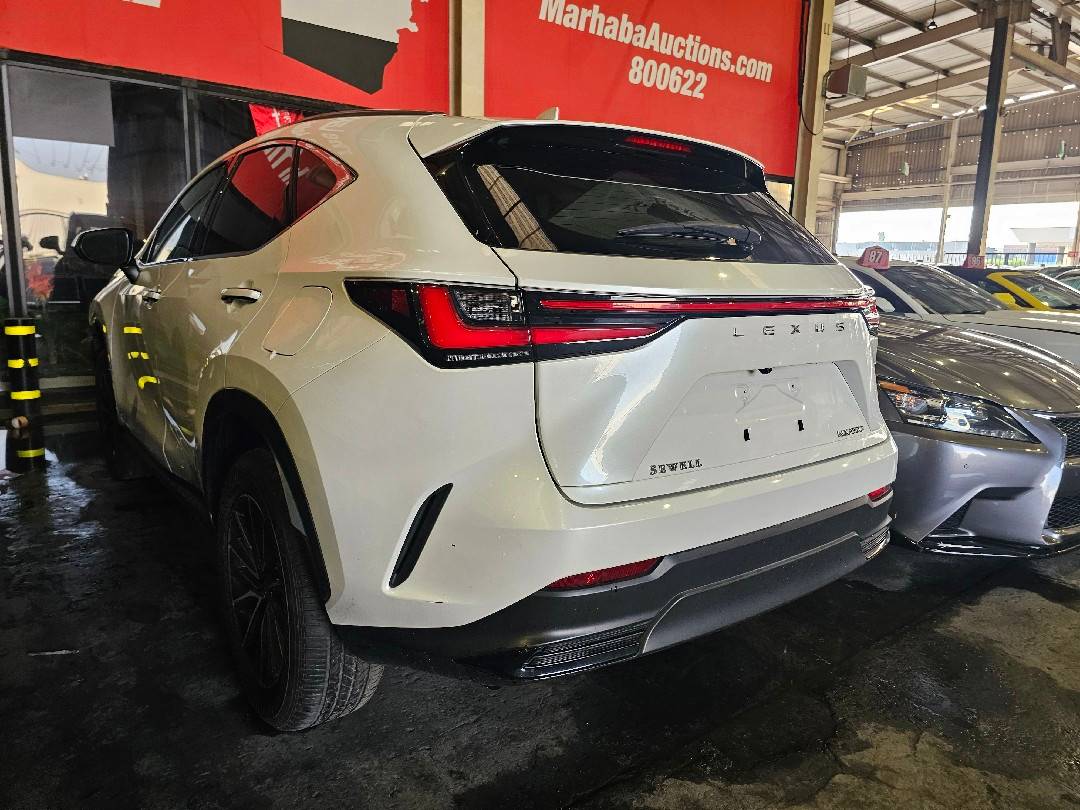 LEXUS NX 250