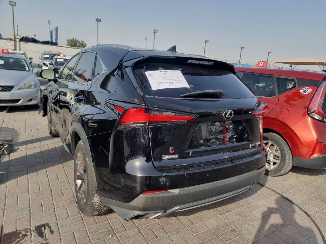 LEXUS NX 300 2019 - Marhaba Auction Used Cars - Image 5