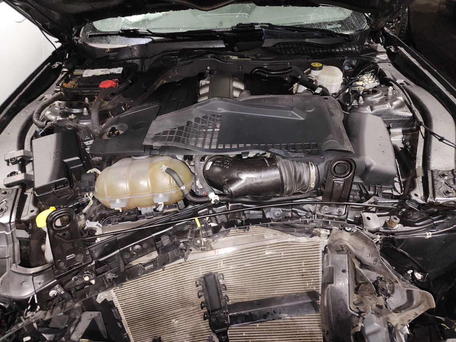 2019 FORD MUSTANG — 76773 Miles — Lot 71007833 - Marhaba Auctions Used Cars - Image 8