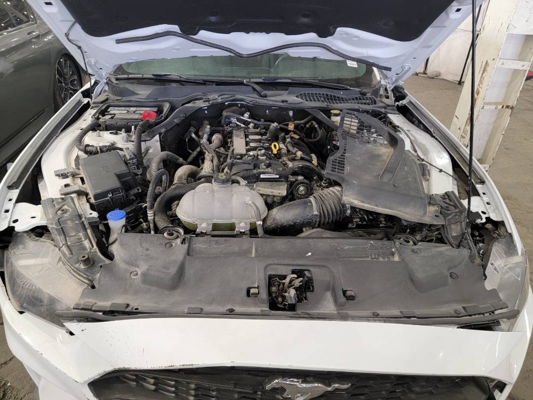 2023 FORD MUSTANG — 3787 Miles — Lot 110761 — Main - Marhaba Auctions Used Cars - Image 8