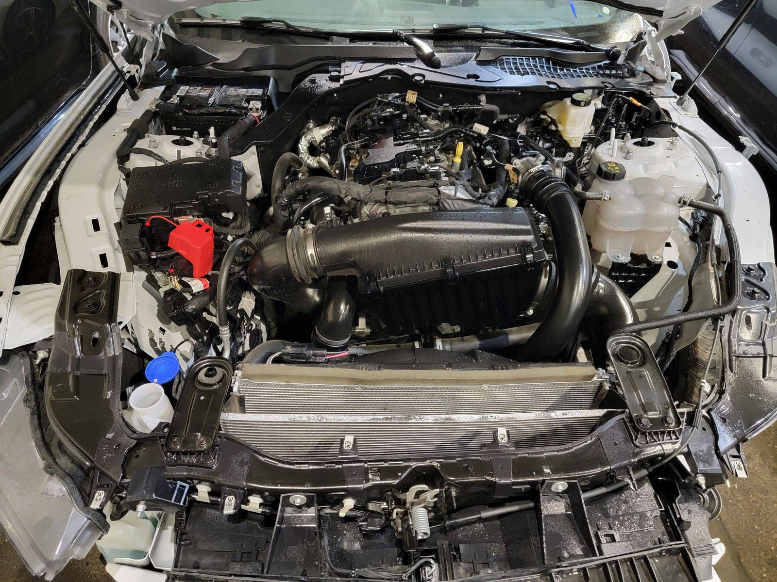 FORD MUSTANG 2024 - Marhaba Auction Used Cars - Image 11