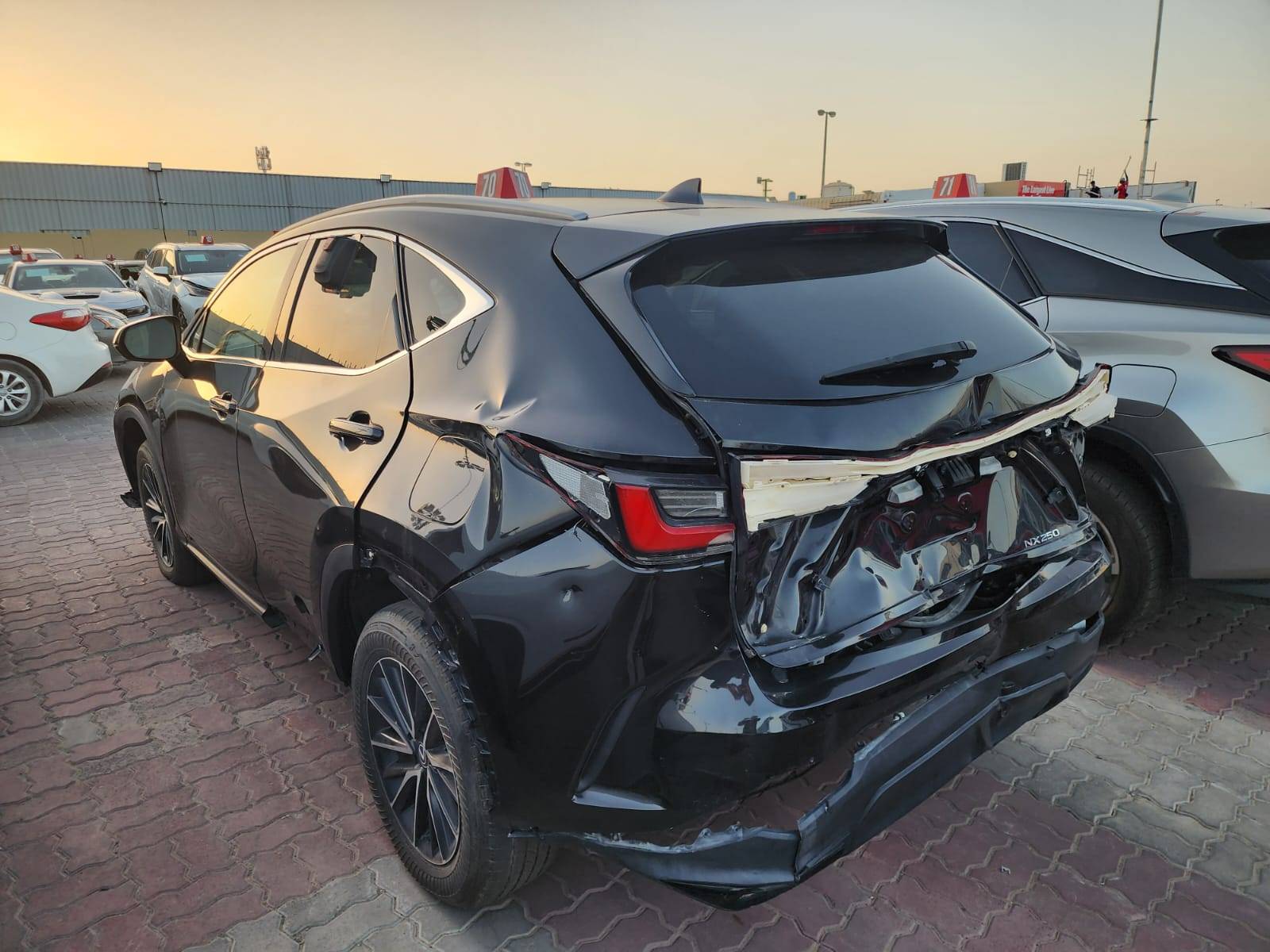 LEXUS NX 250 2024 - Marhaba Auction Used Cars - Image 6