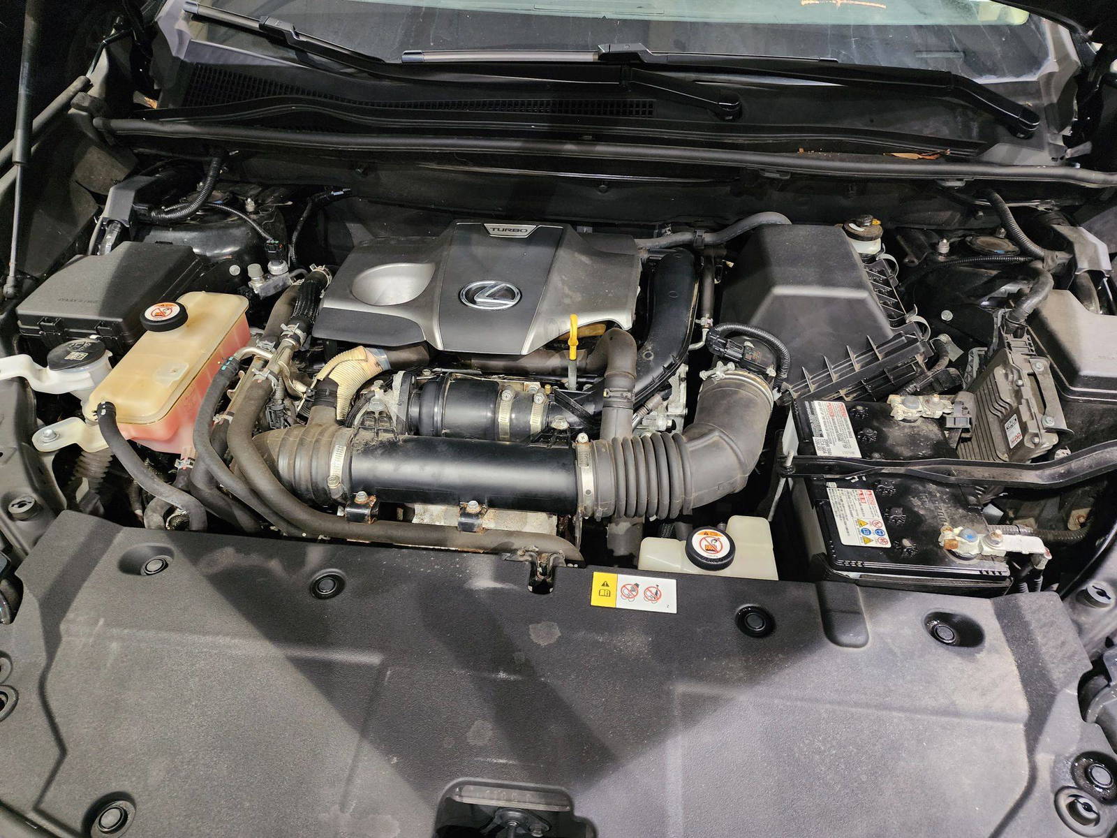 2019 LEXUS NX 300 — 65830 Miles — Lot 37652838 - Marhaba Auctions Used Cars - Image 7