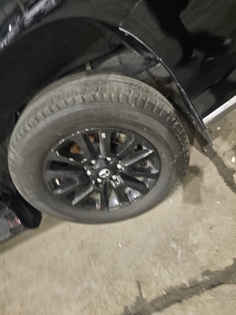 LEXUS GX 460 2023 - Marhaba Auction Used Cars - Image 5