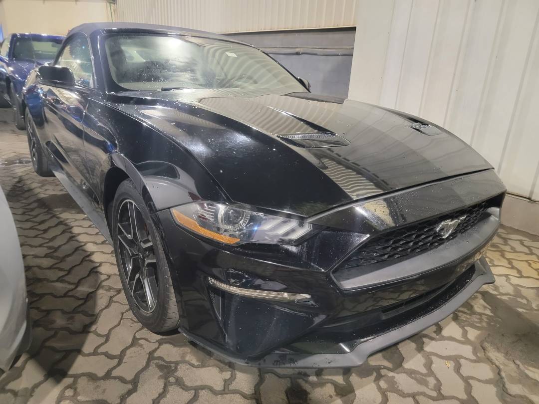 FORD MUSTANG 2019 - Marhaba Auction Used Cars - Image 4