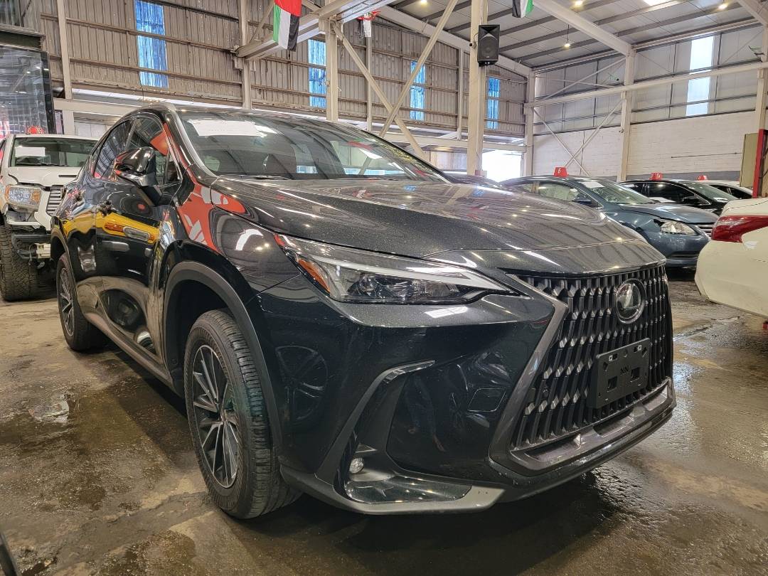 2024 LEXUS NX 350 — 728 Miles — Lot 011842 - Marhaba Auctions Used Cars - Image 6