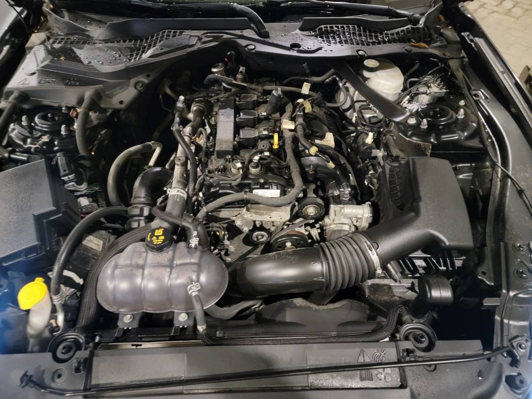 FORD MUSTANG 2019 - Marhaba Auction Used Cars - Image 9