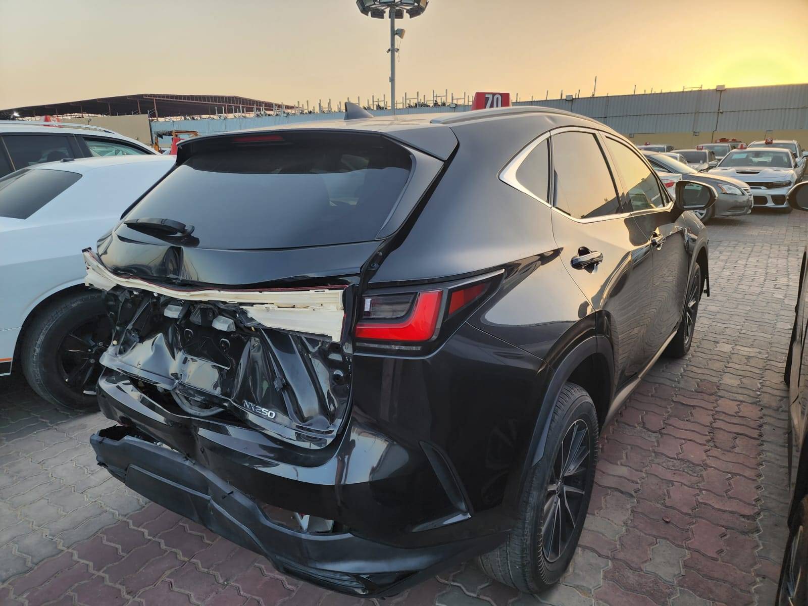 LEXUS NX 250