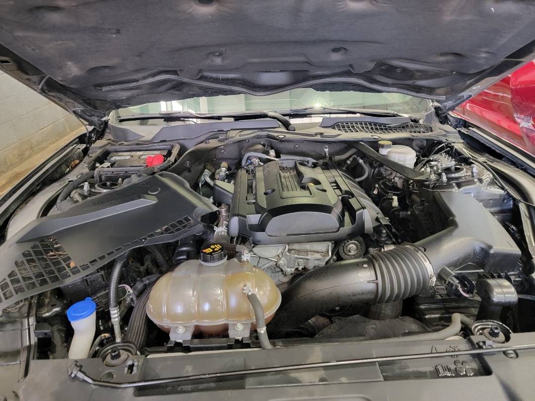 2020 FORD MUSTANG — 78054 Miles — Lot 5101273 — Main - Marhaba Auctions Used Cars - Image 11