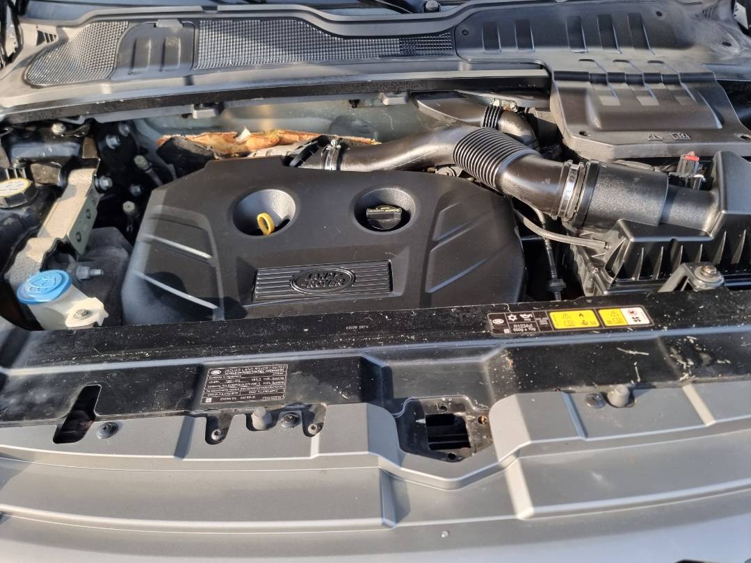 LAND ROVER RANGE ROVER EVOQUE PURE PLUS 2015 - Marhaba Auction Used Cars - Image 11