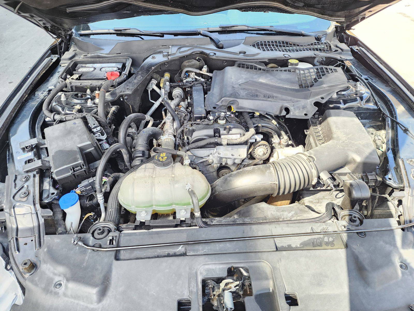 2022 FORD MUSTANG — 31647 KM — Lot N5108391 — Souq - Marhaba Auctions Used Cars - Image 10