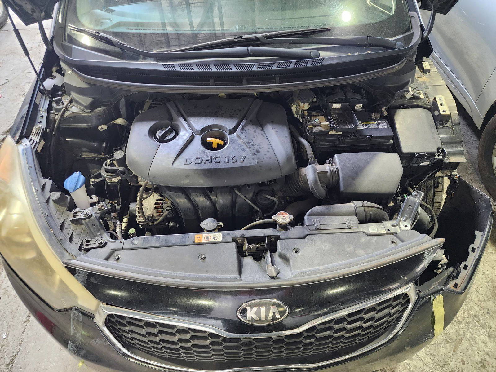 2016 KIA FORTE — 180819 Miles — Lot 5592793 — Main - Marhaba Auctions Used Cars - Image 10