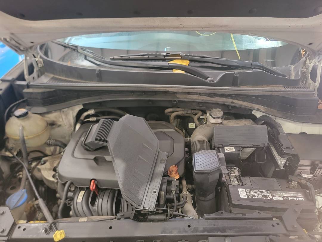 2019 KIA SPORTAGE — 77334 Miles — Lot 40238108 — Souq - Marhaba Auctions Used Cars - Image 11