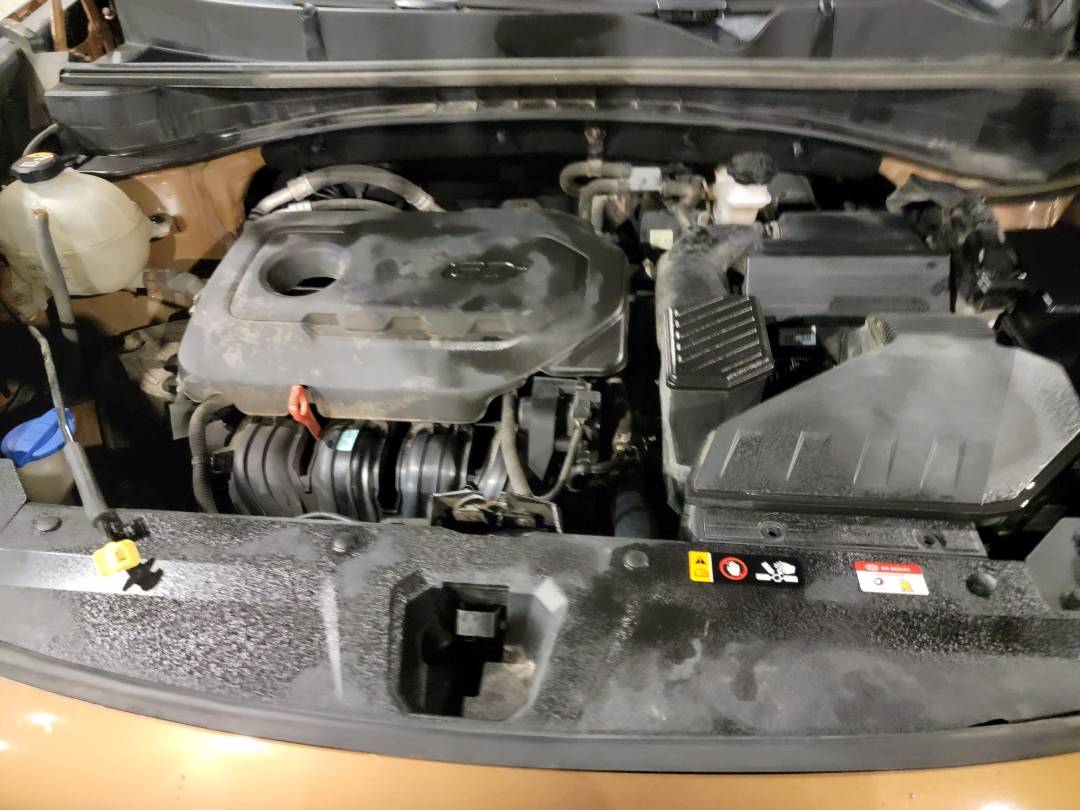 KIA SPORTAGE 2020 - Marhaba Auction Used Cars - Image 10