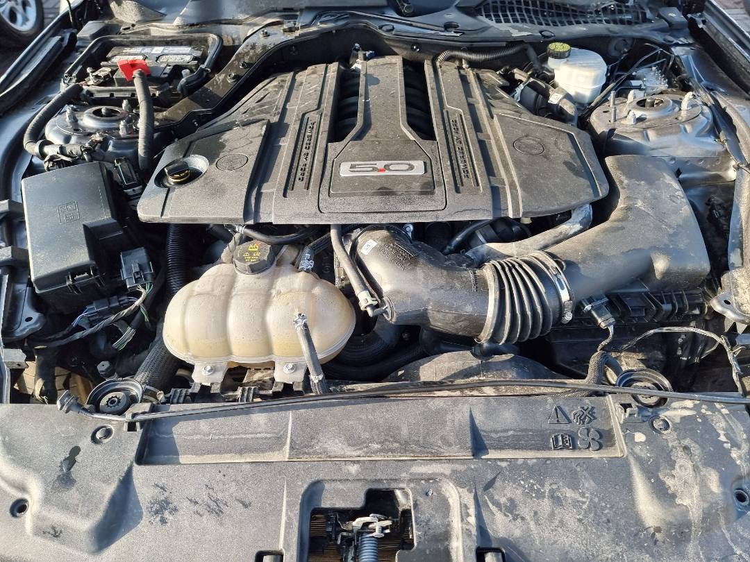 2021 FORD MUSTANG — 37822 Miles — Lot 215487 — Ind. 12 - Marhaba Auctions Used Cars - Image 9