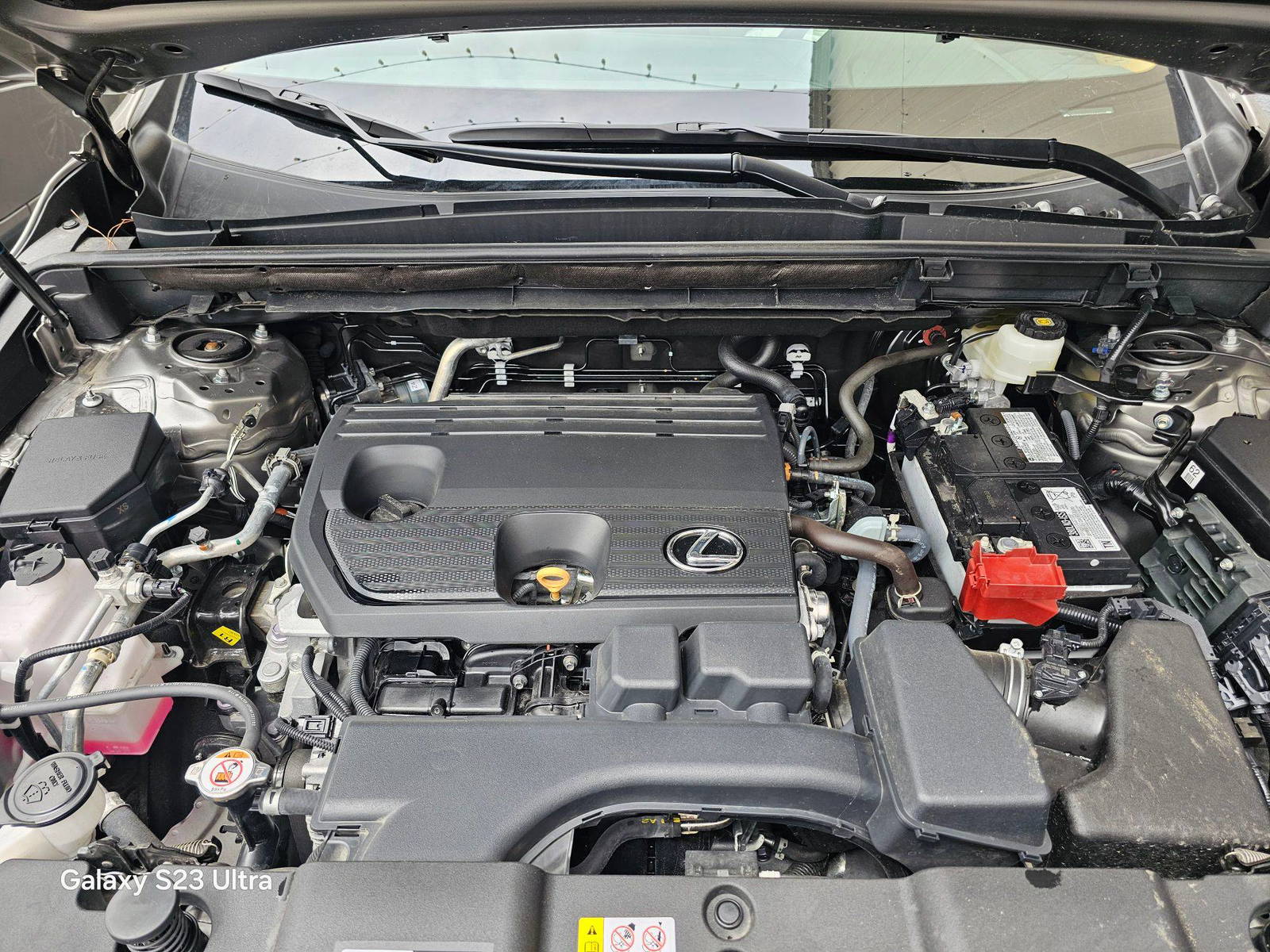 LEXUS NX 250 2025 - Marhaba Auction Used Cars - Image 11