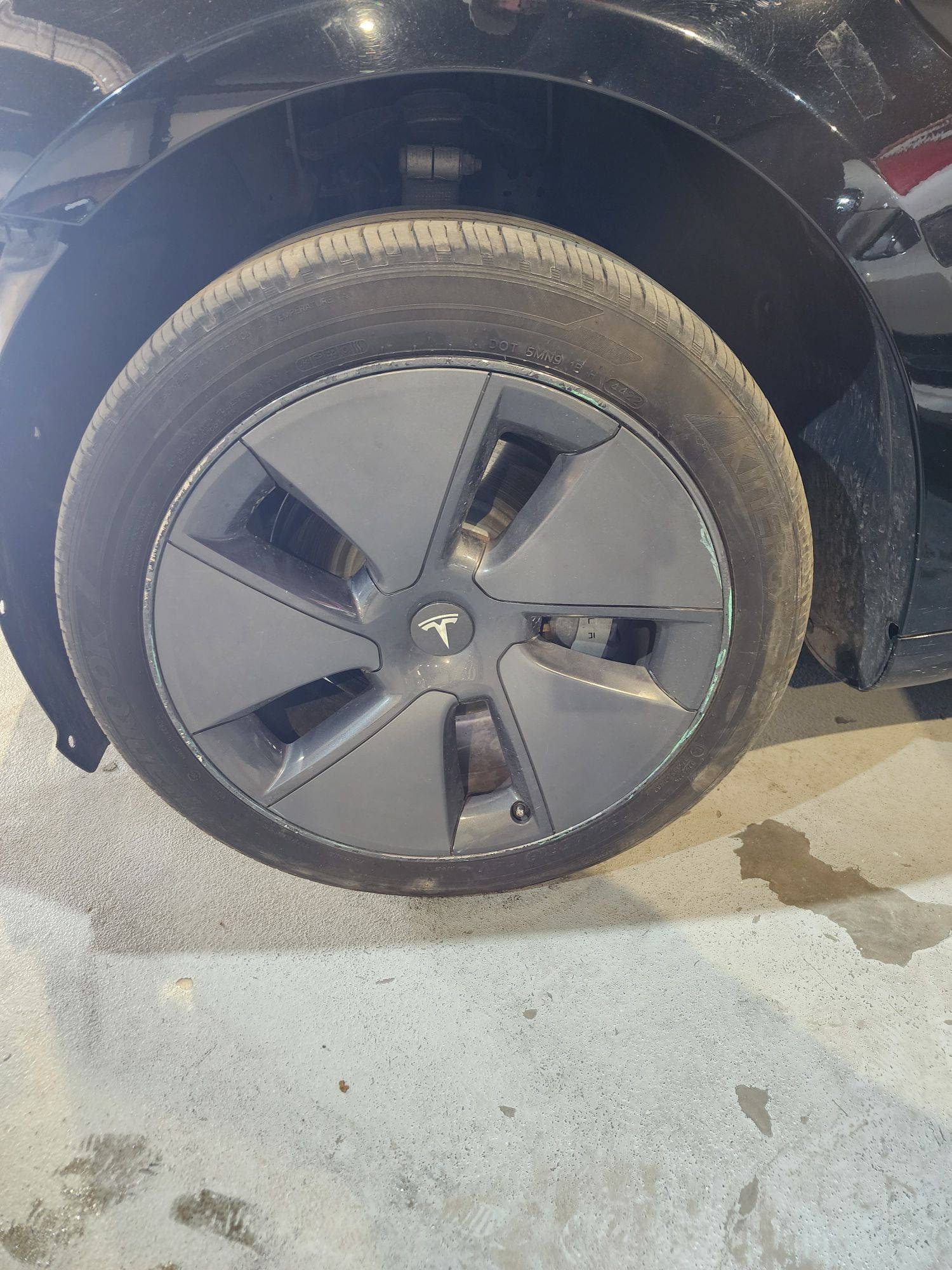 TESLA MODEL 3 2023 - Marhaba Auction Used Cars - Image 11