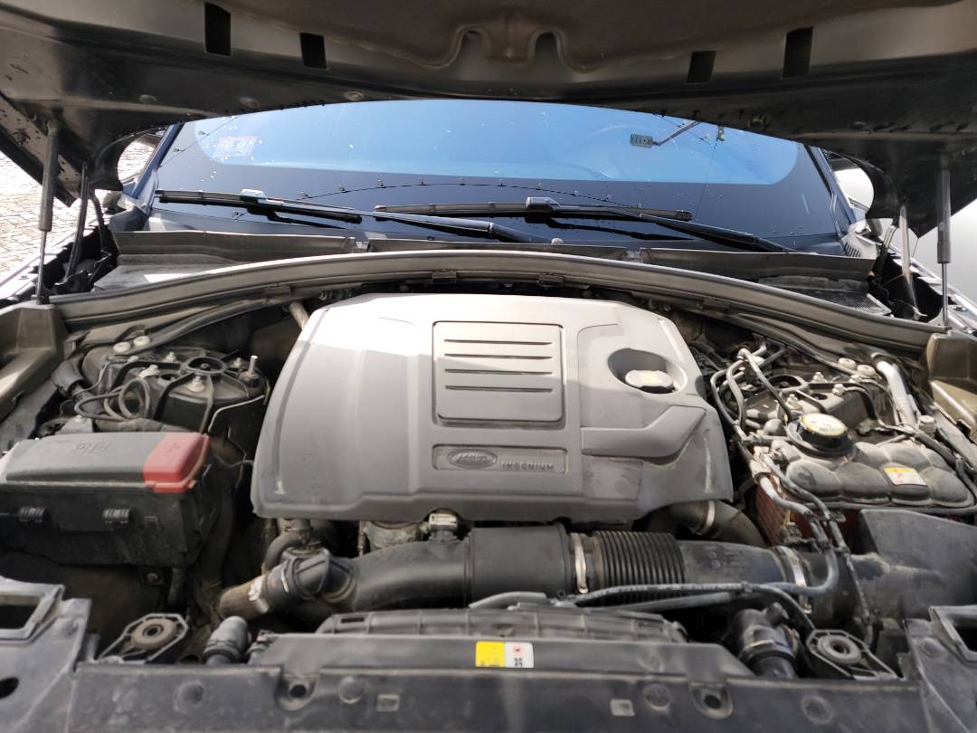 LAND ROVER RANGE ROVER 2021 - Marhaba Auction Used Cars - Image 15