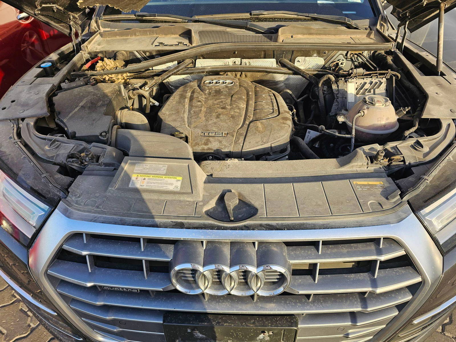 AUDI Q5 2020 - Marhaba Auction Used Cars - Image 14