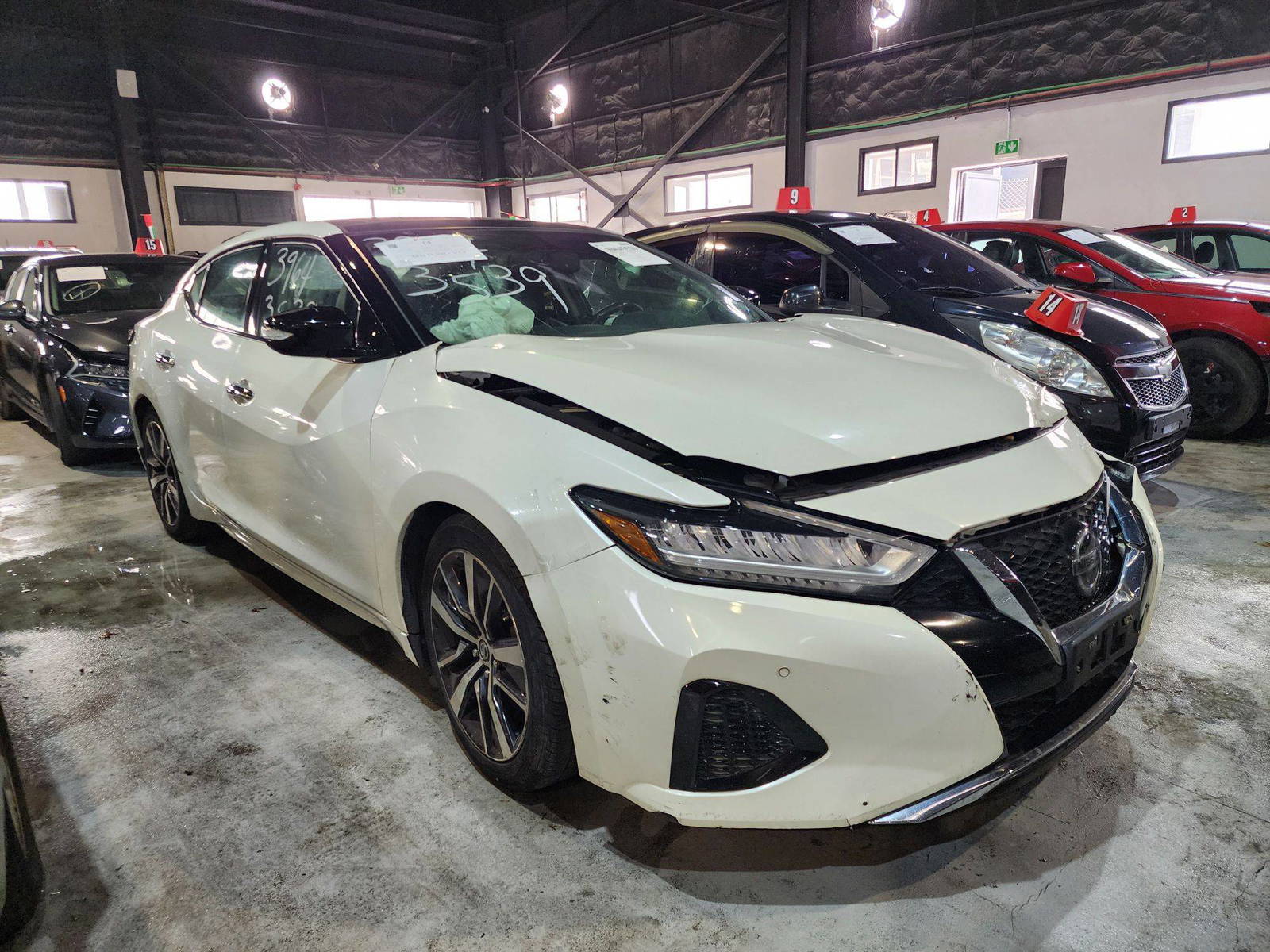 2019 NISSAN MAXIMA — 60637 Miles — Lot 382979 — Al Quoz - Marhaba Auctions Used Cars - Image 6