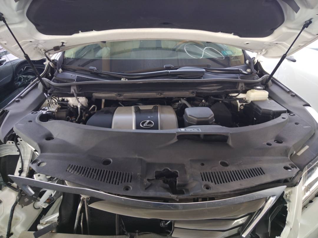 2019 LEXUS RX 350 — 23044 Miles — Lot 37025413 - Marhaba Auctions Used Cars - Image 10