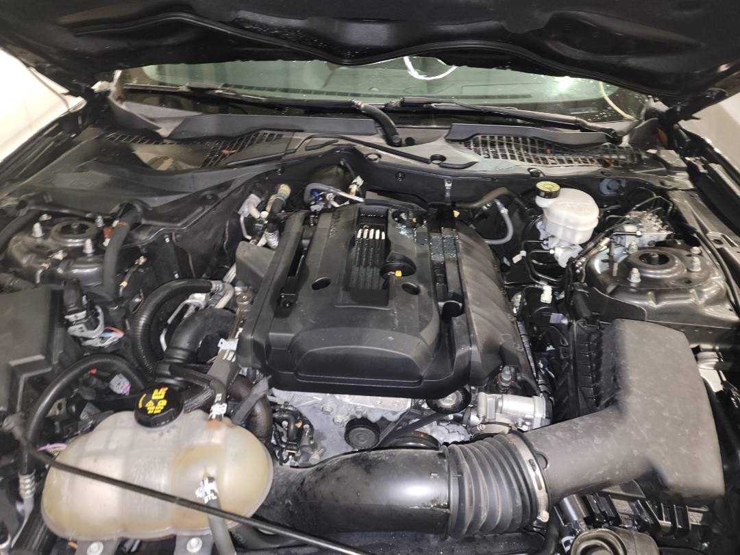 2020 FORD MUSTANG — 50911 Miles — Lot 5117826 - Marhaba Auctions Used Cars - Image 8