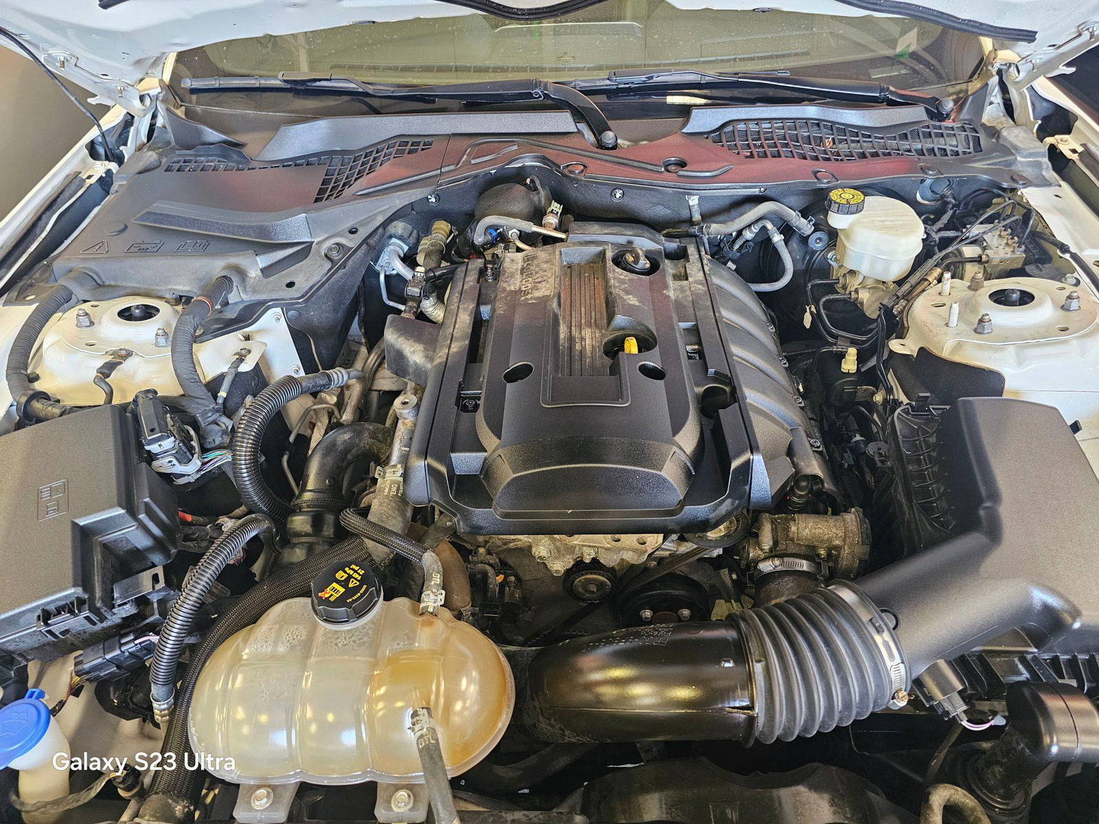 FORD MUSTANG 2020 - Marhaba Auction Used Cars - Image 9